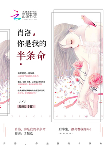 你是我的半条命小说