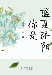 你是盛夏骄阳 小说