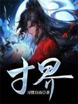 寸界实体书