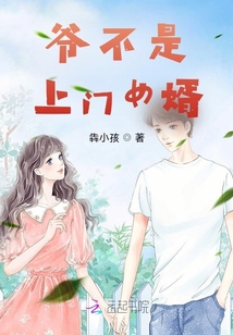 新上门女婿剧情介绍分集