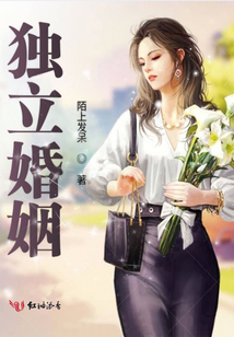 独立婚姻小说