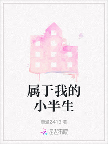 属于我的小半生是什么歌