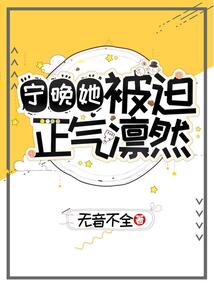 女主人公叫宁晚晚