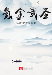 氪金武圣txt