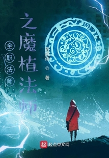 全职法师之寂灭法师