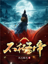 不朽圣帝 风无极光下载