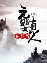 元婴真人在异界 小说