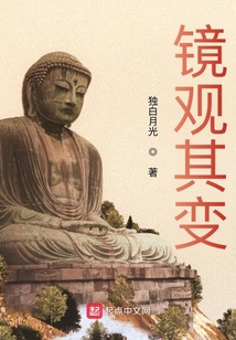镜观其变吞噬小说网