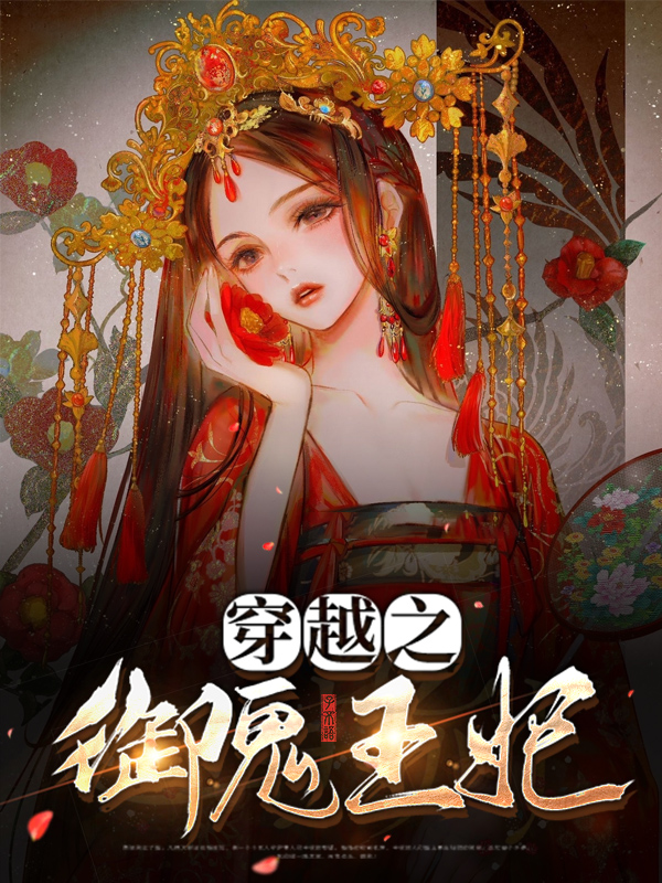 穿越王妃的电视剧全集