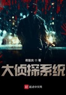 大侦探系统 小说
