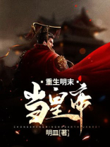 重生明末当皇上的小说