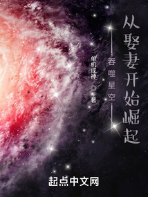 吞噬星空从娶妻开始崛起TXT下载