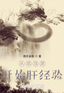从武当派开始肝经验小说免费