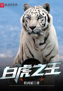 白虎王资格打法