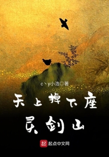 天上掉下个仙女小说