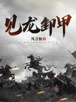 见龙卸甲经典台词