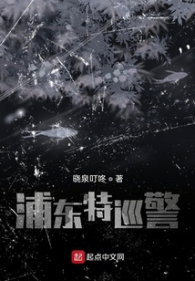 特巡警是正式警察吗