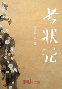 考状元的小说