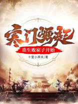 寒门崛起扫书