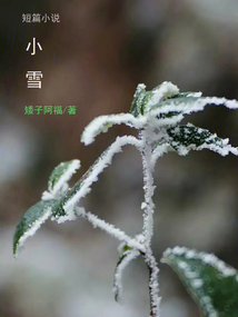 小雪故事知乎