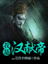 我是汉献帝小说