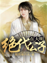 大明公子小说