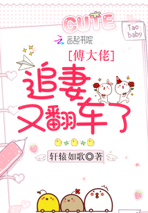 大佬追妻又翻车了免费阅读