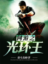 网游之光环王TXT