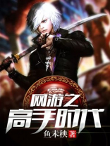 网游之高手寂寞
