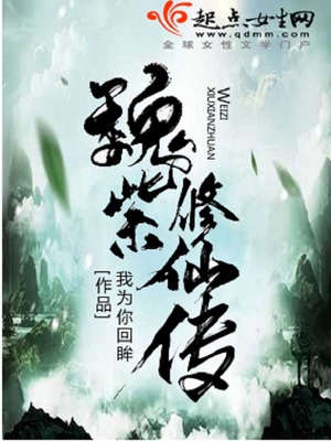 魏紫修仙传TXT下载