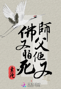 师父她又老又丑作者:天无风雪