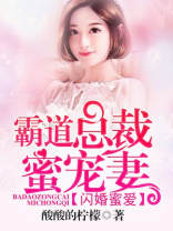 闪婚蜜爱:霸道总裁蜜宠妻 小说