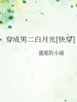 穿成男二白月光晋江