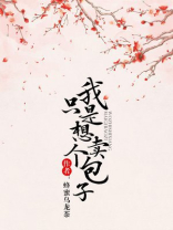 我只是想卖个包子无防盗