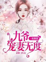 一夜锁情总裁宠妻甜蜜小说