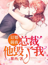 订婚前夜,总裁他毁了我 紫冉