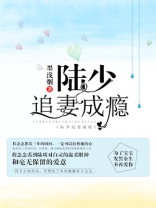 陆少追妻火葬场全文