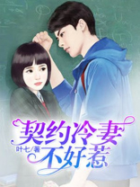 契约冷妻不好惹第二季小说