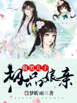 腹黑儿子极品娘亲