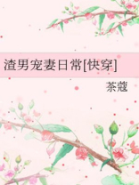 渣男宠妾灭妻她二嫁太子楚宁