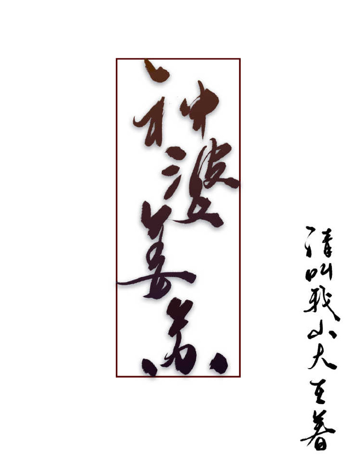 神婆姜苏小说