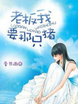 老板我想买猪肉歌