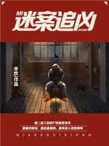 迷案追凶2