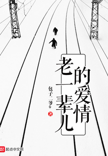 老一辈儿的爱情 小说