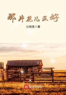 我看到那片花儿