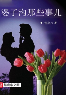 婆婆沟村