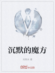 沉默魔术师lv8