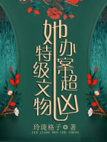 特级文物她办案超凶by玲珑格子