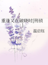 重逢又在破晓时刑侦免费阅读全文