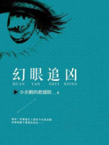幻影追凶在线